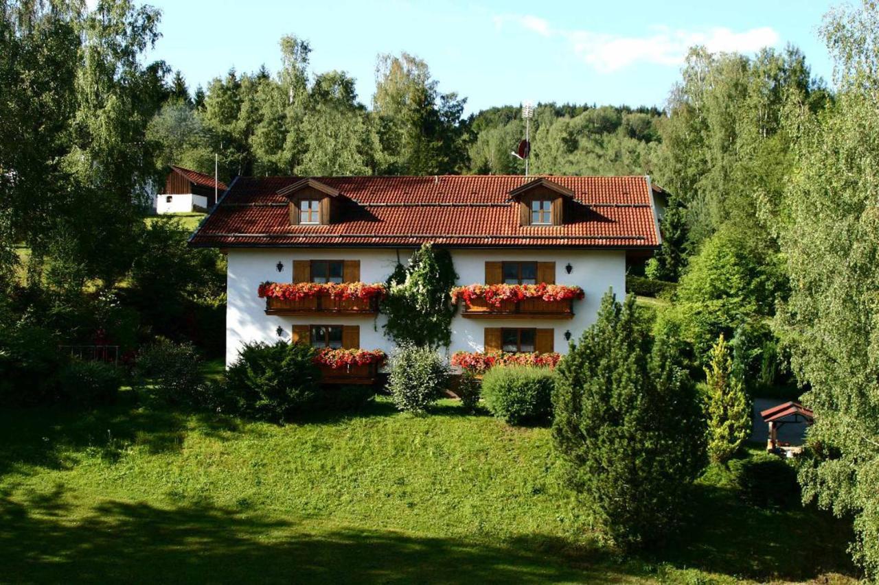 Ferienwohnungen Haus "Wildschuetz" Frauenau Ngoại thất bức ảnh