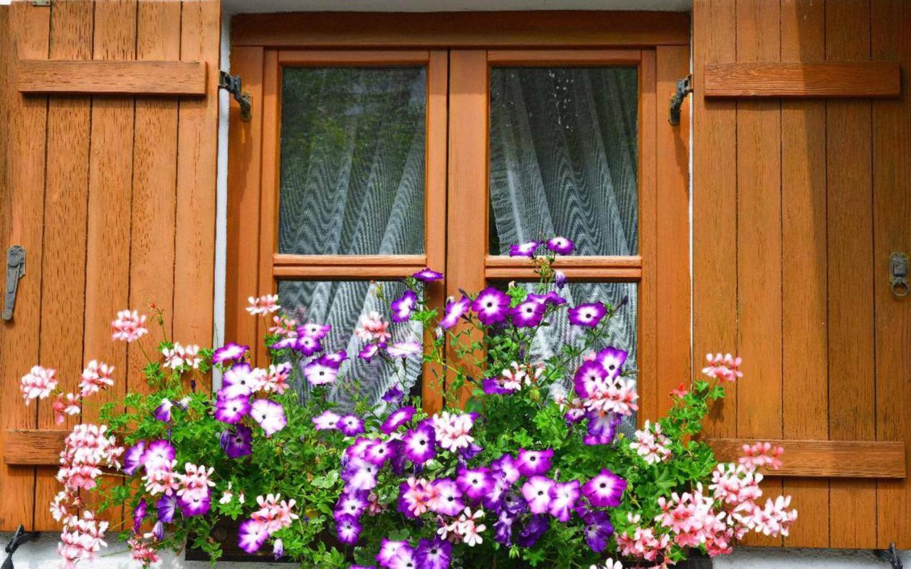 Ferienwohnungen Haus "Wildschuetz" Frauenau Ngoại thất bức ảnh