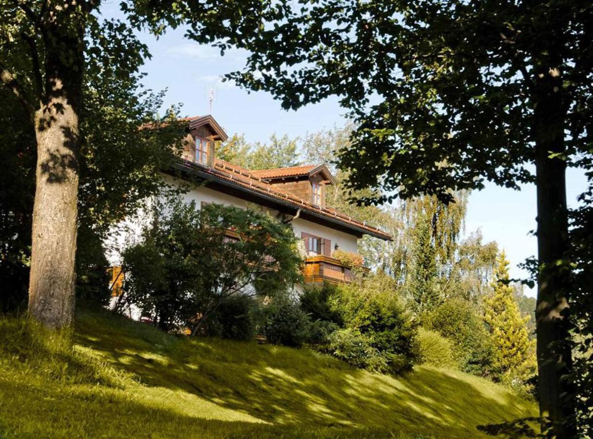 Ferienwohnungen Haus "Wildschuetz" Frauenau Ngoại thất bức ảnh